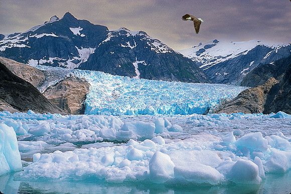 LeConte Glacier, Alaska