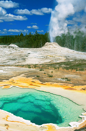 Heart Spring and Lion Geyser, Yellowstone NP