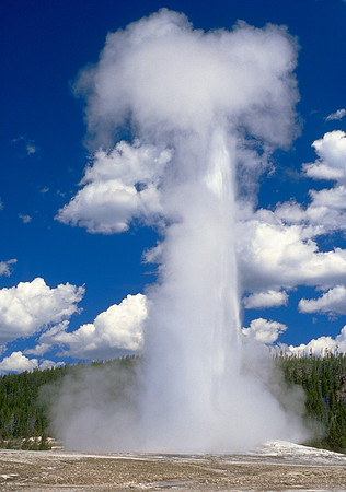 Old Faithful, Yellowstone NP