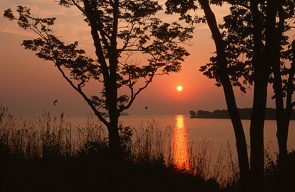 Sunrise From Gibraltar Island, Lake Erie