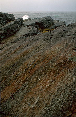 Precambrian Fossils & Sea at Mistaken Point, Newfoundland