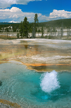 Firehole Lake Drive Hot Spring, Yellowstone NP