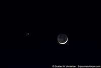 Moon, Venus, and Mars