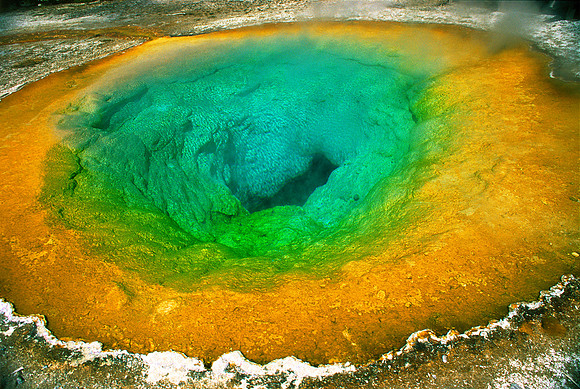 Morning Glory Pool, Yellowstone NP