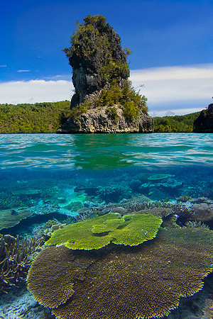 Sea Stack and Corals; Raja Ampat