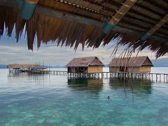 Papua Water Cottage at Raja Ampat