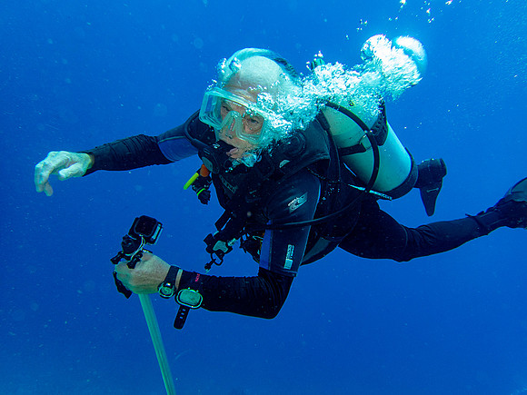 Bruno Diving