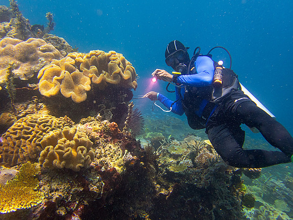Melke - Our Dive Master; Raja Ampat