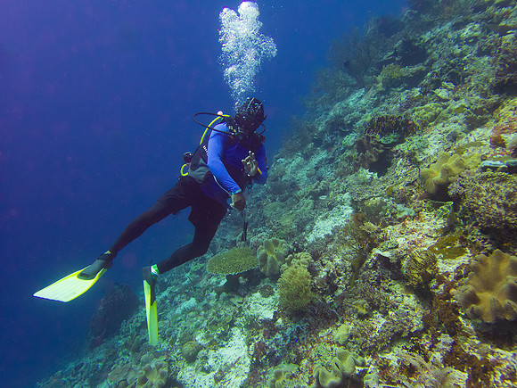 Melke - Everyone OK?, Raja Ampat