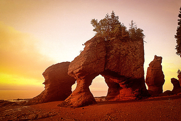 Hopewell Rocks, Bay of Fundy