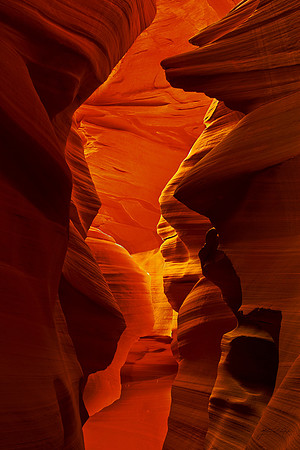 Lava Lamp, Arizona