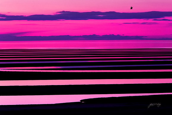 Sand Bars, Cape Cod