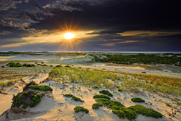 Sand Dunes, Cape Cod